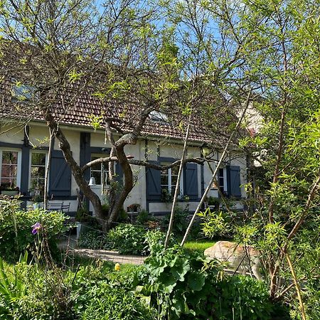 Chambre Cosy Bonnieres Exterior foto